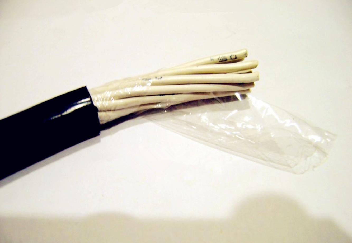多芯氟塑料高温线